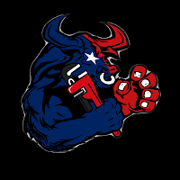 Texas Plumbing logo