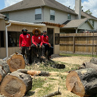 Ayalas Tree Service logo